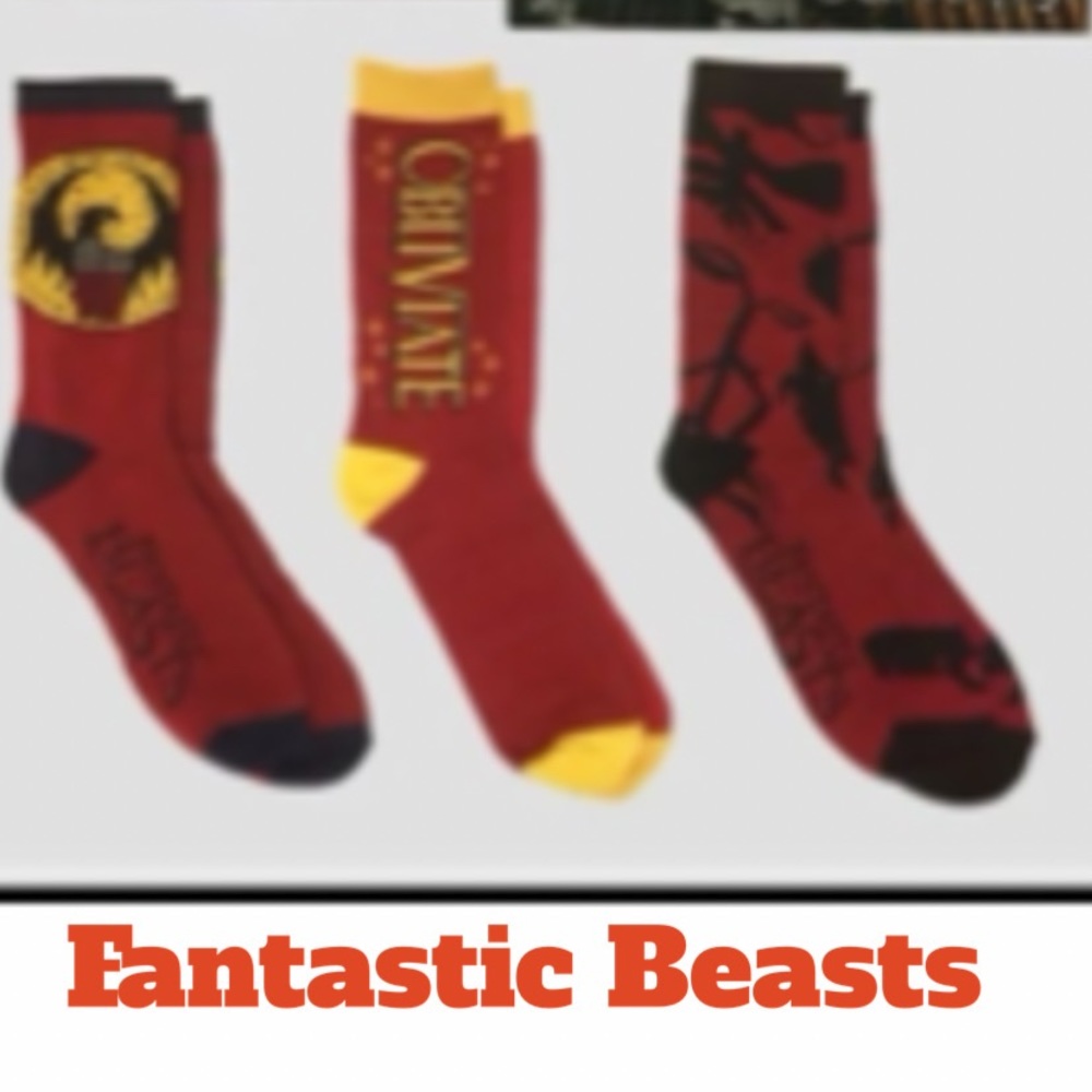 Fantastic Beasts boxed set of socks
